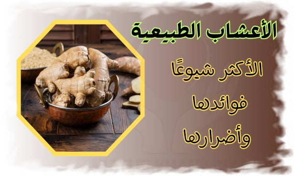 الأعشاب الطبيعية الأكثر شيوعًا فوائدها وأضرارها وأهم 3 أنواع لاستخدامات مختلفة