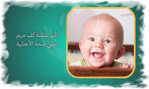 عشبة كف مريم سر جمال المرأة