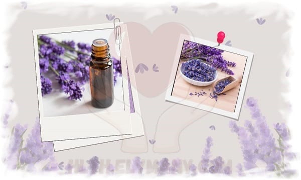 طريقة تحضير شاي اللافندر