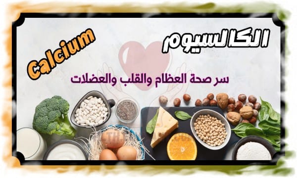الكالسيوم سر صحة العظام والقلب والعضلات اكتشف فوائده وأفضل مصادره
