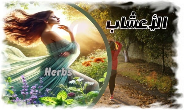 صحة وحياة الأعشاب Herbs