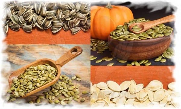 فوائد بذور اليقطين الحل السحري لتحسين الصحة وعلاج المشكلات المزمنة 2 فوائد بذور اليقطين الحل السحري لتحسين الصحة وعلاج المشكلات المزمنة