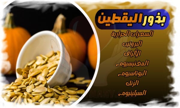 فوائد بذور اليقطين الحل السحري لتحسين الصحة وعلاج المشكلات المزمنة