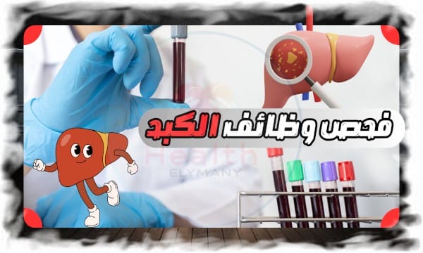 فحص وظائف الكبد دليلك الكامل لفهم التحاليل ودلالاتها الصحية