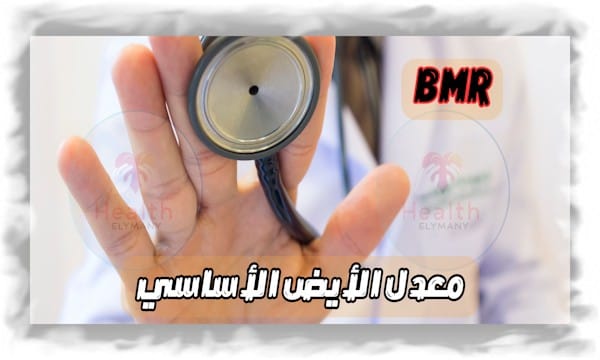 حاسبة معدل الأيض الأساسي (BMR): اكتشف احتياج جسمك اليومي من السعرات بسهولة 2025 5 حاسبة معدل الأيض الأساسي (BMR): اكتشف احتياج جسمك اليومي من السعرات بسهولة